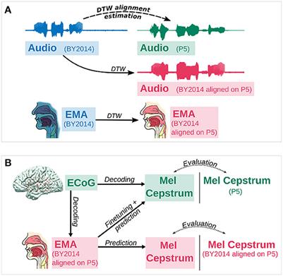 Overt speech decoding from cortical activity: a comparison of different linear methods